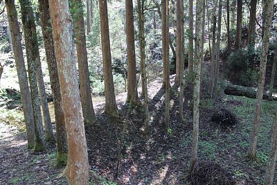 この水源のダムは、いつ築かれたのか