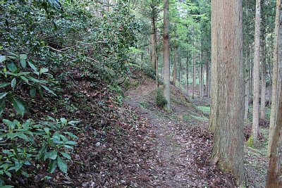 通路はかなり細いので注意してください