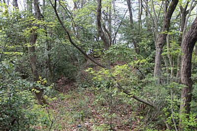 主郭から伸びている尾根伝いの通路かな