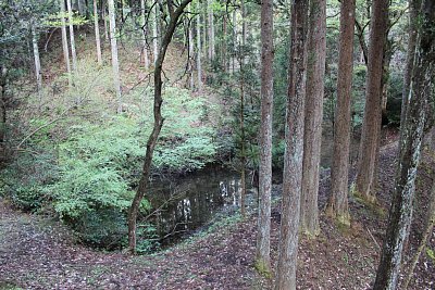 こんなところに水源が