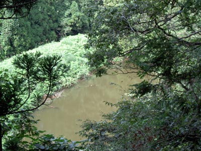 豆山堤