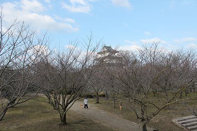 丸亀城二ノ丸から天守を望む