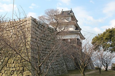 丸亀城本丸石垣と天守