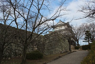 丸亀城天守と本丸石垣