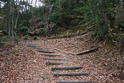 搦手道を下から見上げる