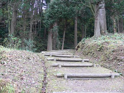 ここを一気に駆け上れる人はかなりの健脚です