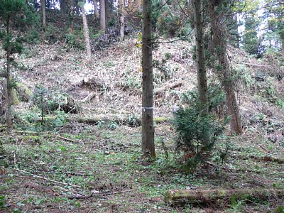 増山城ウラナギ口のF郭