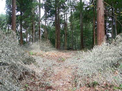 又兵衛清水への近道を通ります