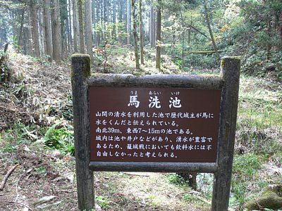 増山城馬洗池