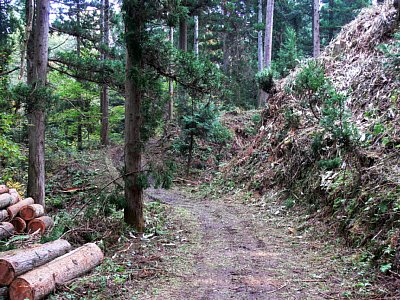 小判清水口への通路