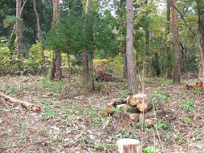 増山城御所山屋敷跡