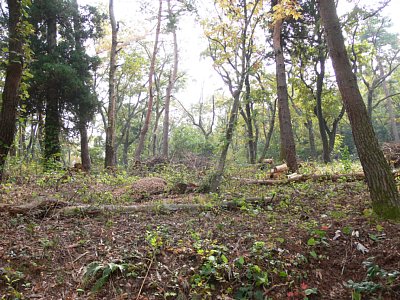 増山城池ノ平等屋敷跡