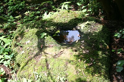 確かに水がありますね