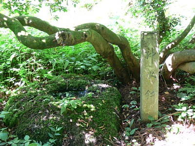 増山城本丸にある神水鉢