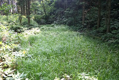 馬洗池には今でも水があります