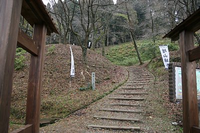 ウラナギ口から入ります