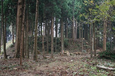 一の丸は巨大な土塁です