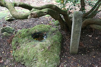 増山城神水鉢