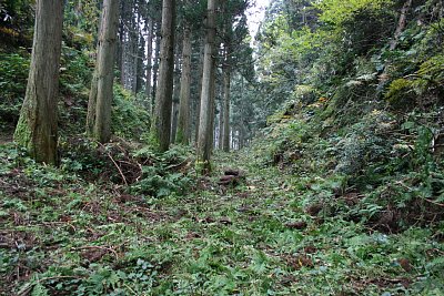 以前はもっと深い空堀だったのでしょう