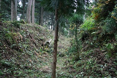 安室屋敷に沿って竪堀が走っています