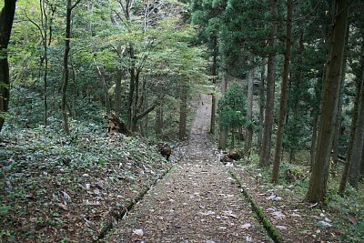 これだけ複雑な地形を持つ山城はなかなかないでしょう