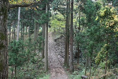 神保夫人入水井戸