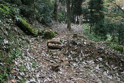 馬の背ゴへの分岐点