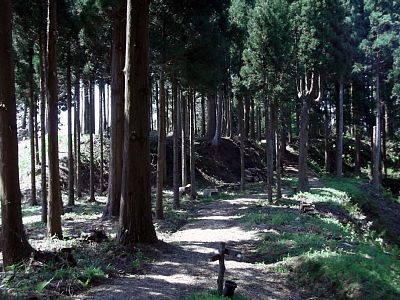 一の丸の土塁