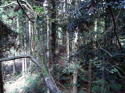 鐘撞堂から見た安室屋敷