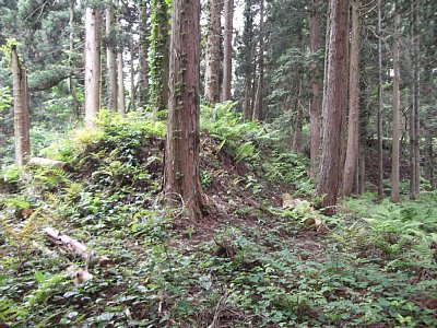 安室屋敷跡の土塁はかなり大きいものです