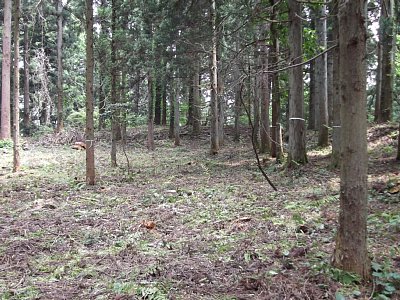 安室屋敷跡の周囲には土塁が巡っています