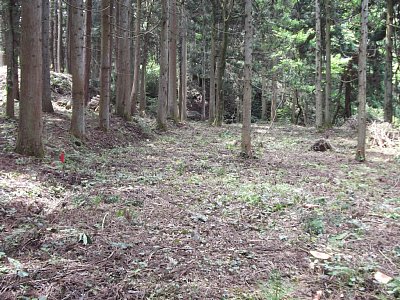 安室屋敷跡の削平地はかなりの広さです