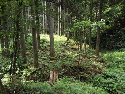 馬洗池そばの土塁