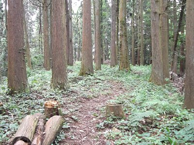 無常は細長い郭です