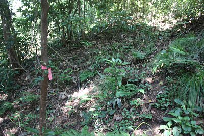 畝状竪堀群には大きな竪堀が3本あります