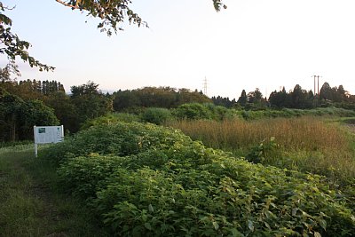 増山城下町土塁跡