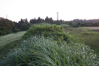 増山城下町土塁跡の上から全景