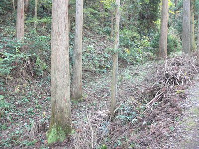 ウラナギ口からの登城道には竪堀が