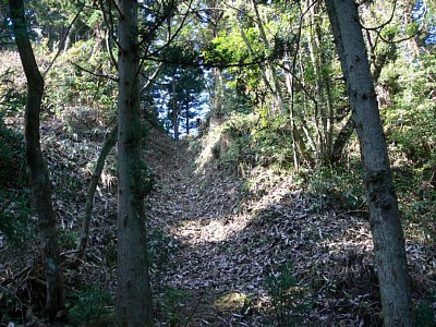 増山城ウラナギ口堀切西側