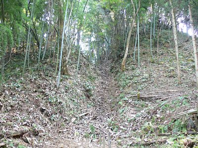 増山城ウラナギ口堀切東側