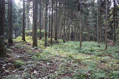 安室屋敷跡の北側の土塁