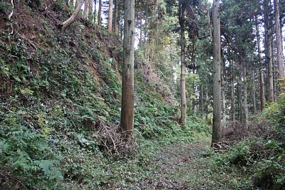 安室屋敷跡の東側の横堀と切岸