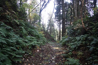 安室屋敷跡の北側の外濠