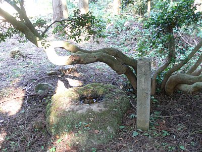 神水鉢は水が枯れることがありません