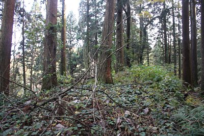 外堀と内堀の間の大土塁は櫓台跡でしょう