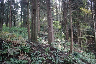 安室屋敷跡の北側の堀切はかなり深い