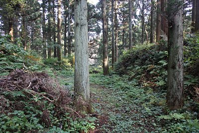 安室屋敷の北側の防御は完璧です