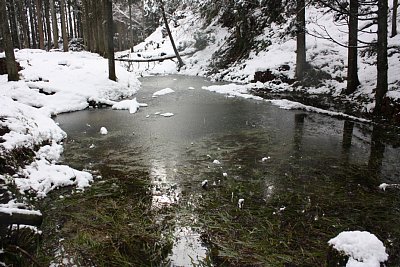 馬洗池が雪解け水で満水です