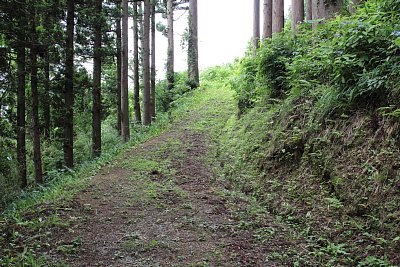 七曲りの登城道