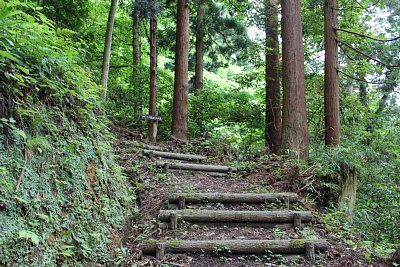 ここを一気に駆け上がれる人は健脚です